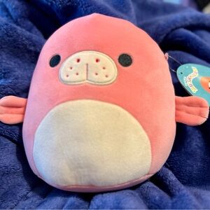 Morlai the coral Manatee Squishmallow - New with tags - COLLECTOR NUMBER 2383